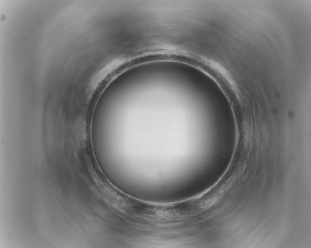 X0000088431318200705221237