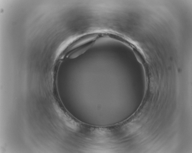 X0000088431319200705221237