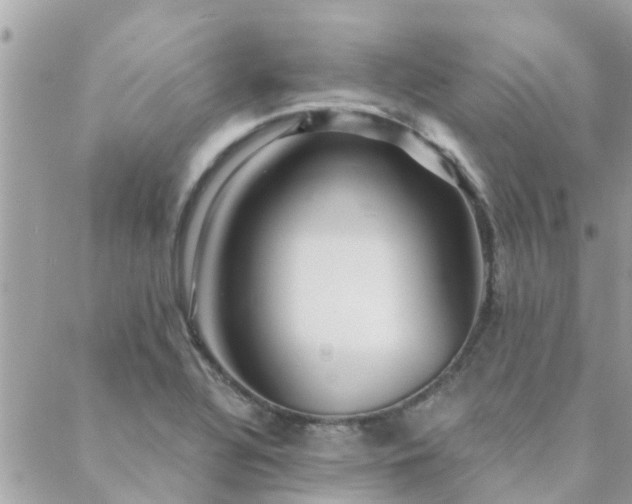 X0000088431320200705221237