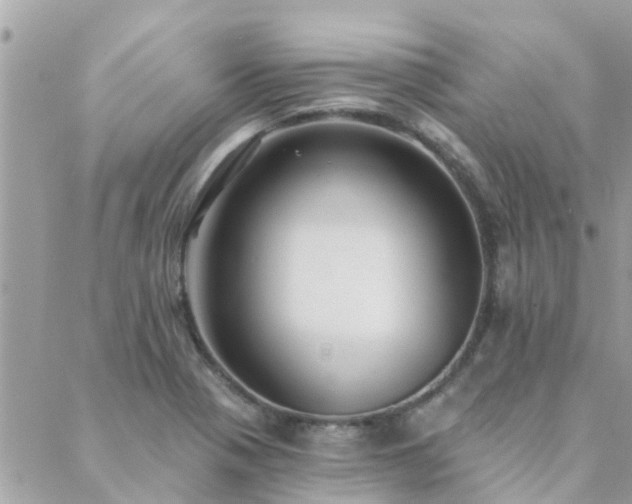 X0000088431321200705221237