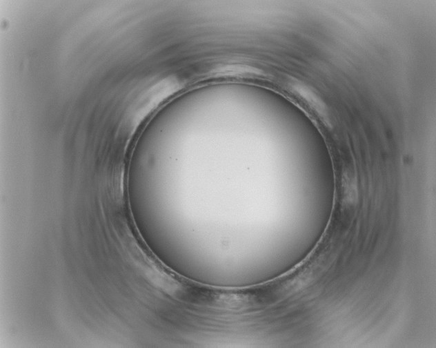 X0000088431322200705221237