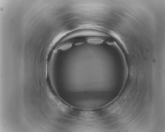 X0000088431323200705221237