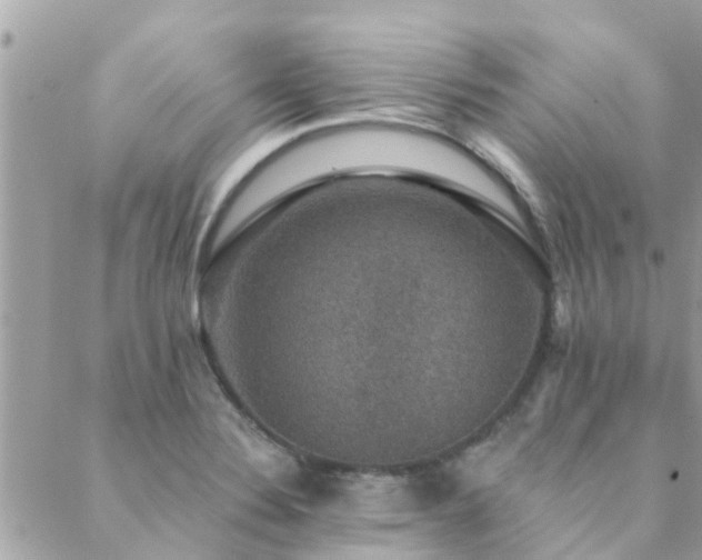 X0000088431324200705221237