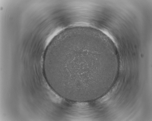 X0000088431325200705221237