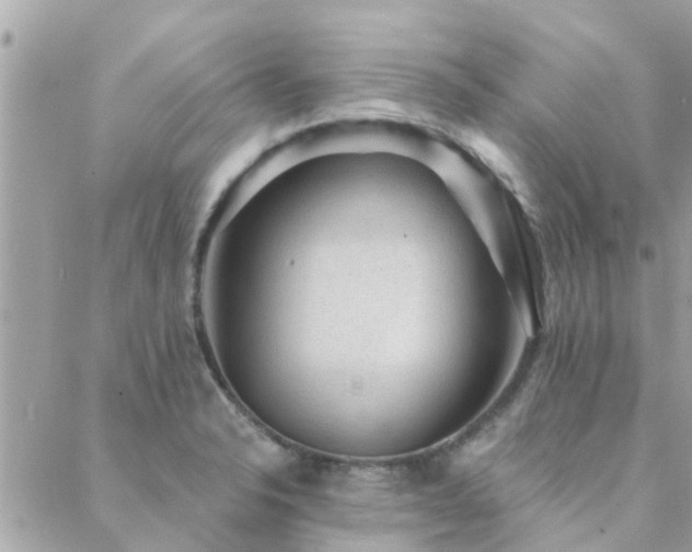 X0000088431326200705221237