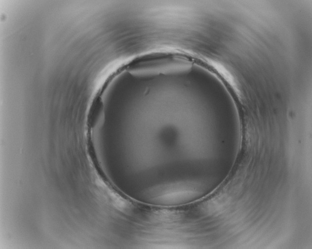 X0000088431327200705221237