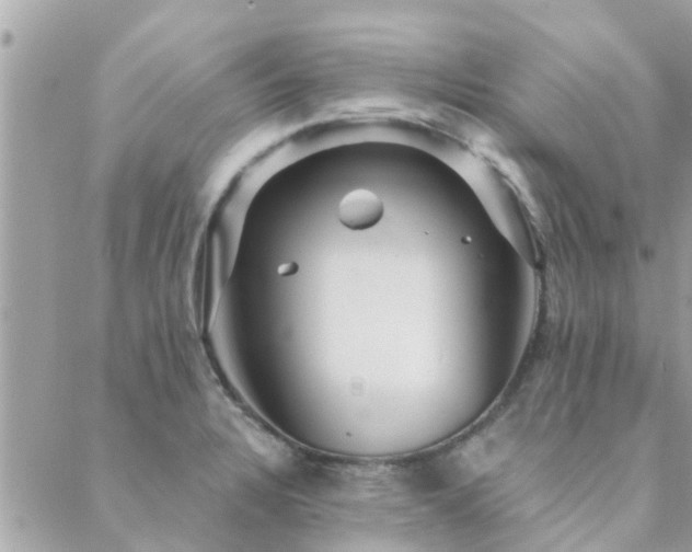 X0000088431328200705221237