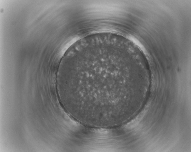 X0000088431329200705221237