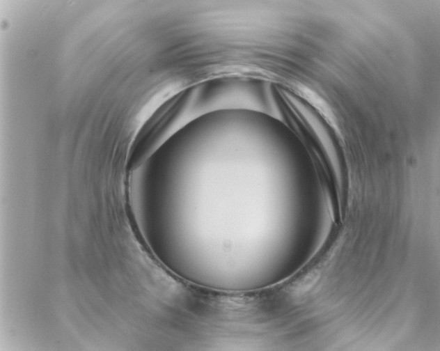 X0000088431330200705221237