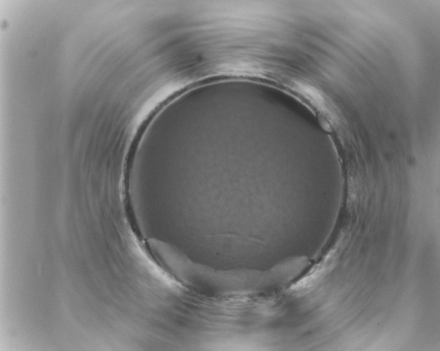 X0000088431331200705221237