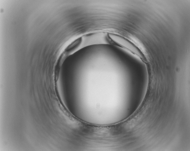 X0000088431332200705221237