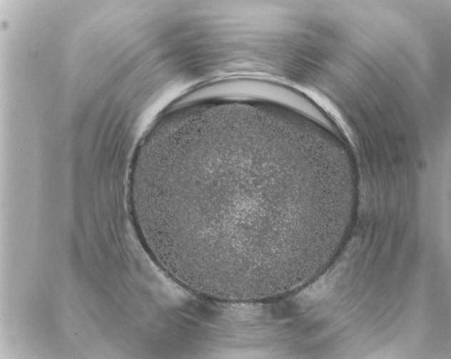 X0000088431333200705221237