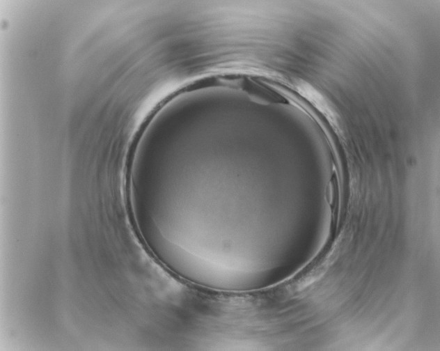 X0000088431334200705221237