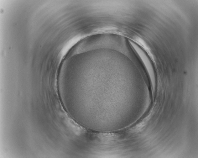 X0000088431336200705221238