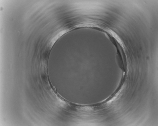 X0000088431337200705221238