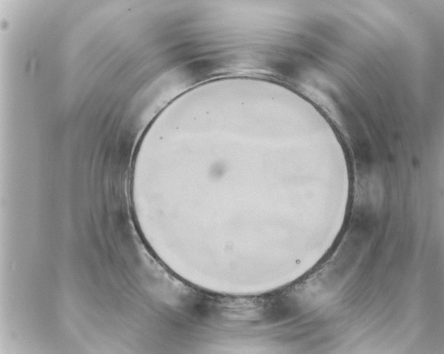 X0000088431338200705221238