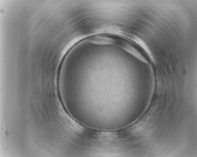 X0000088431339200705221238