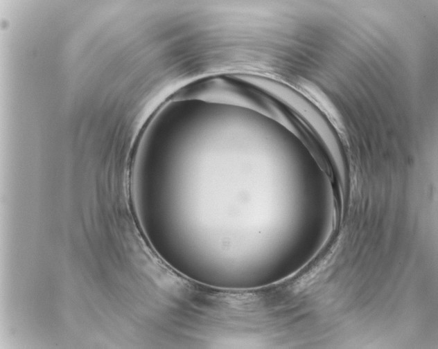 X0000088431340200705221238