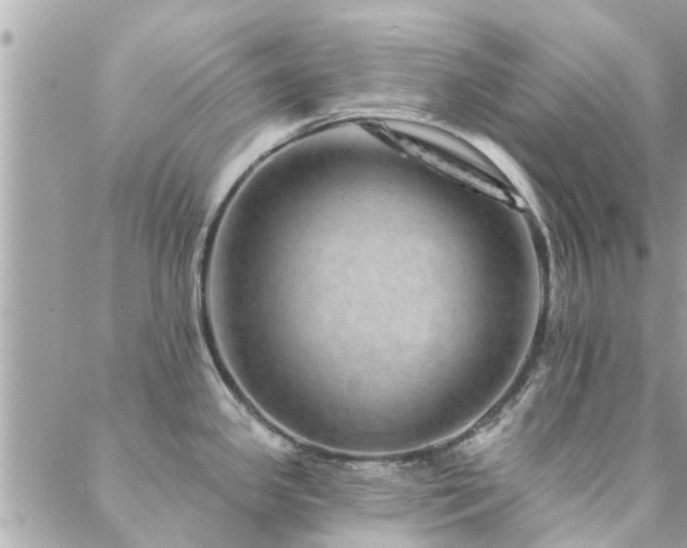 X0000088431341200705221238