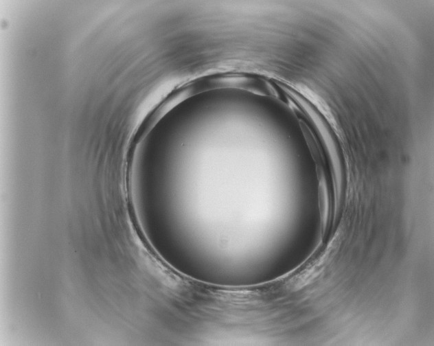 X0000088431342200705221238