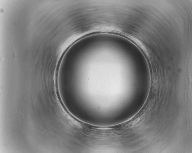 X0000088431343200705221238