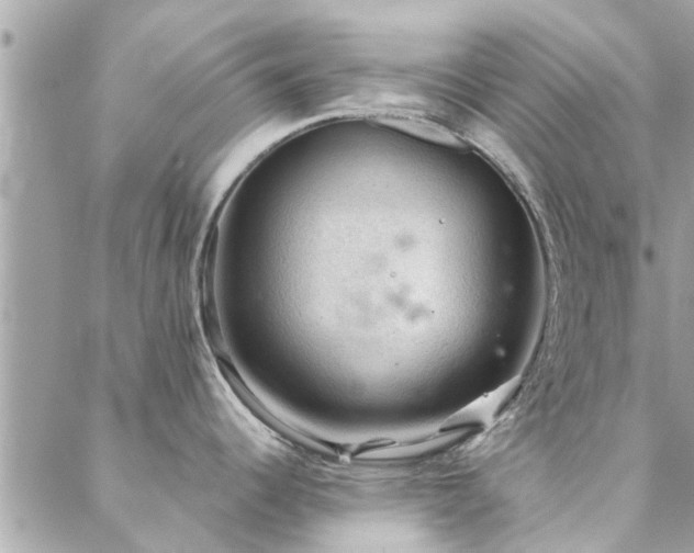 X0000088431344200705221238