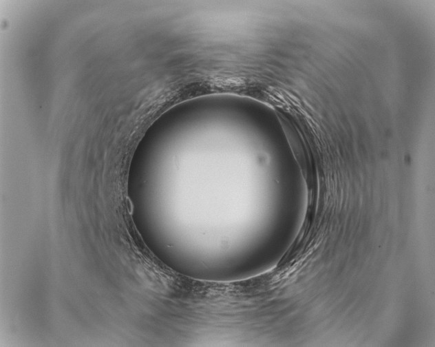 X0000088431345200705221237