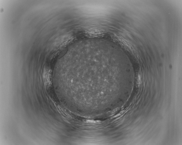 X0000088431346200705221237