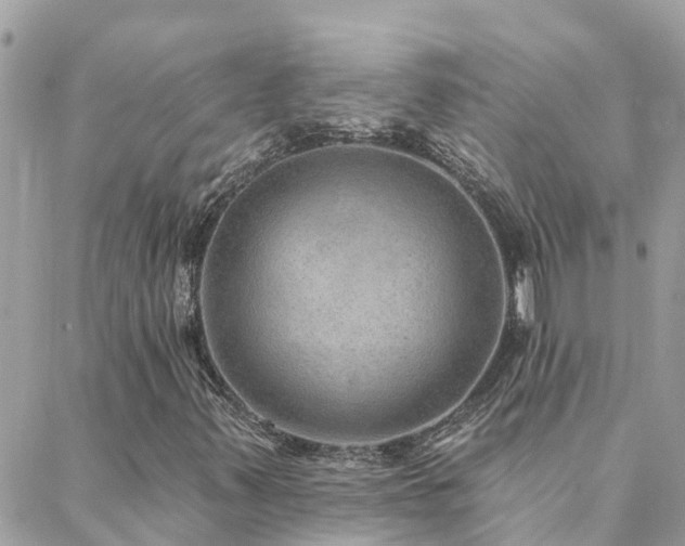 X0000088431347200705221237