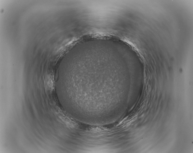 X0000088431348200705221237