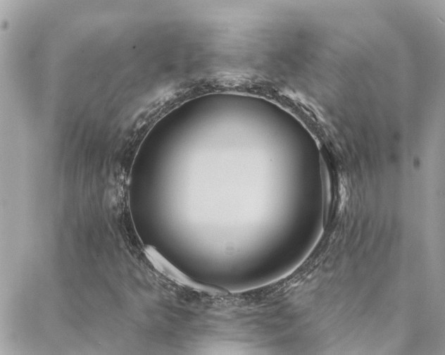 X0000088431349200705221237