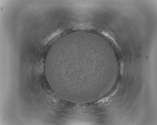 X0000088431350200705221237