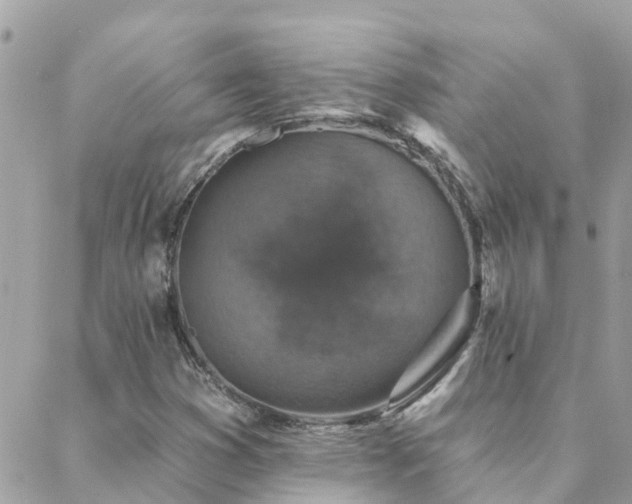 X0000088431353200705221237