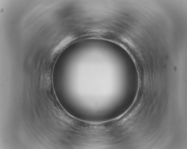 X0000088431354200705221237