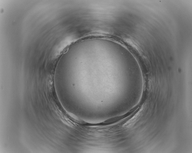 X0000088431355200705221237