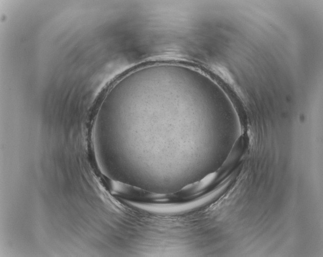 X0000088431356200705221237