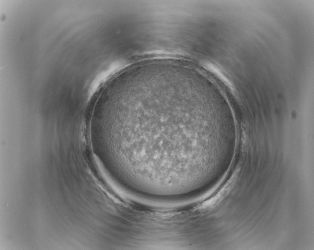 X0000088431357200705221237