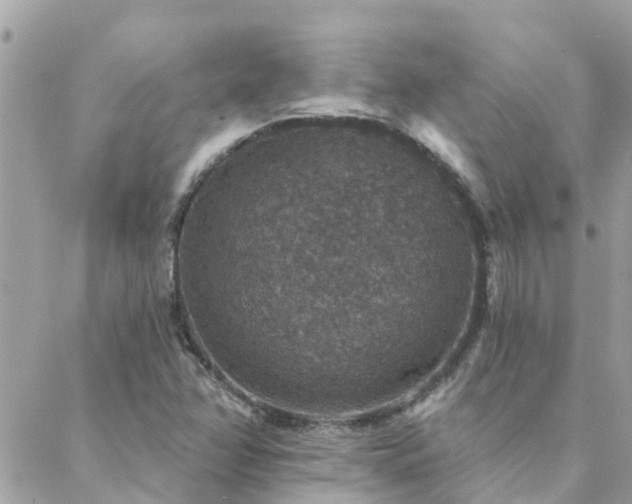 X0000088431358200705221237