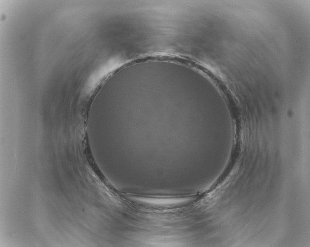 X0000088431359200705221237