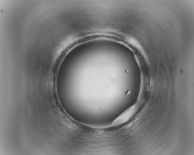 X0000088431360200705221237