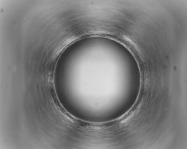 X0000088431361200705221237