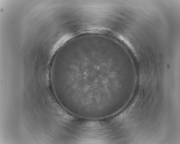 X0000088431362200705221237