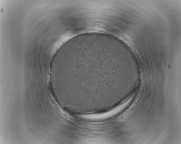 X0000088431363200705221237