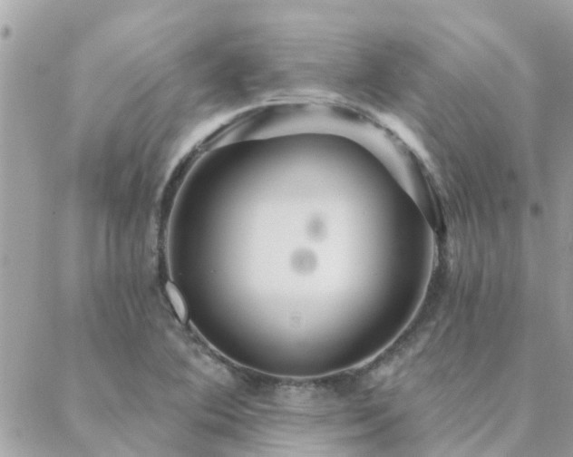 X0000088431364200705221237