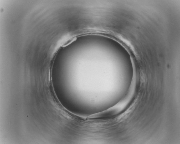 X0000088431365200705221237