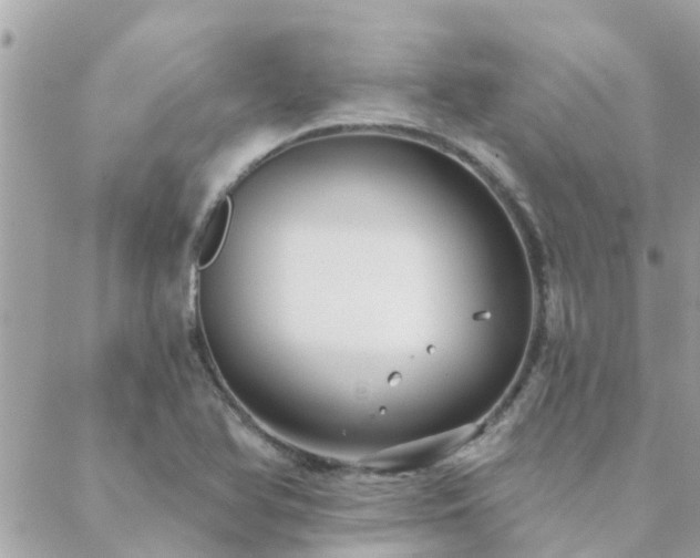 X0000088431366200705221237