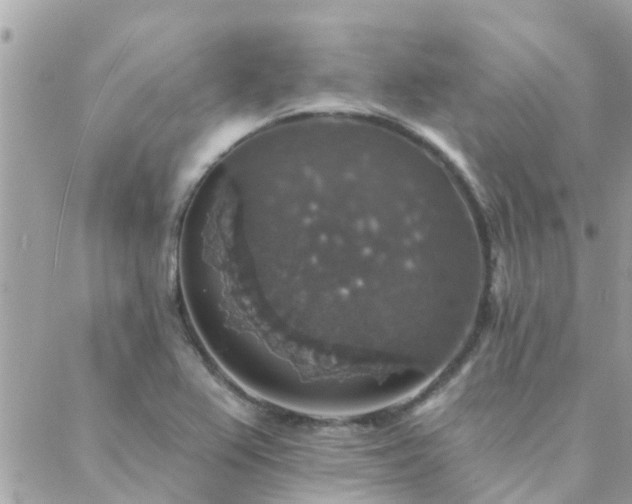 X0000088431367200705221236