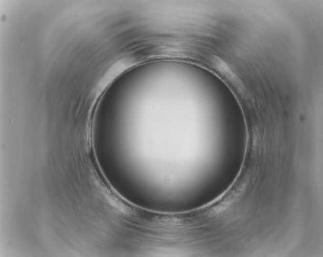 X0000088431370200705221236