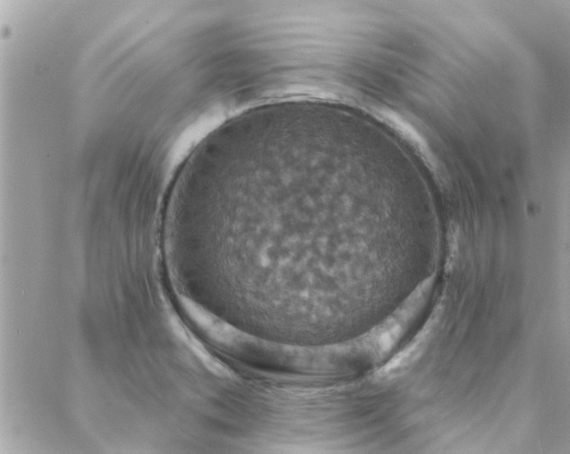 X0000088431373200705221236