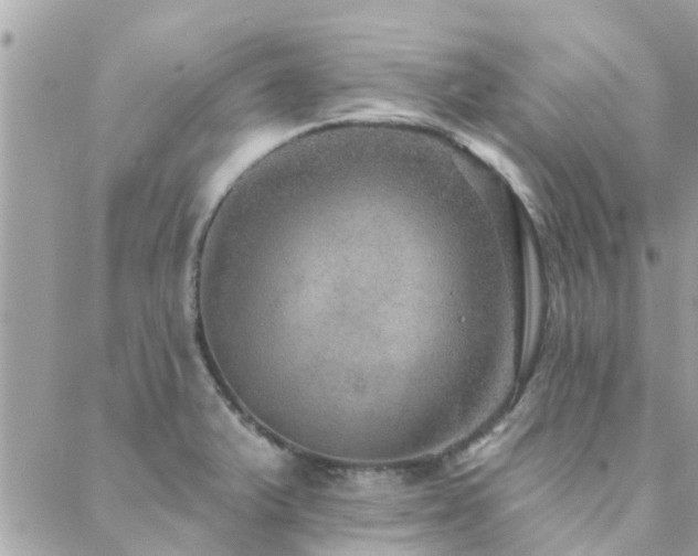 X0000088431375200705221236